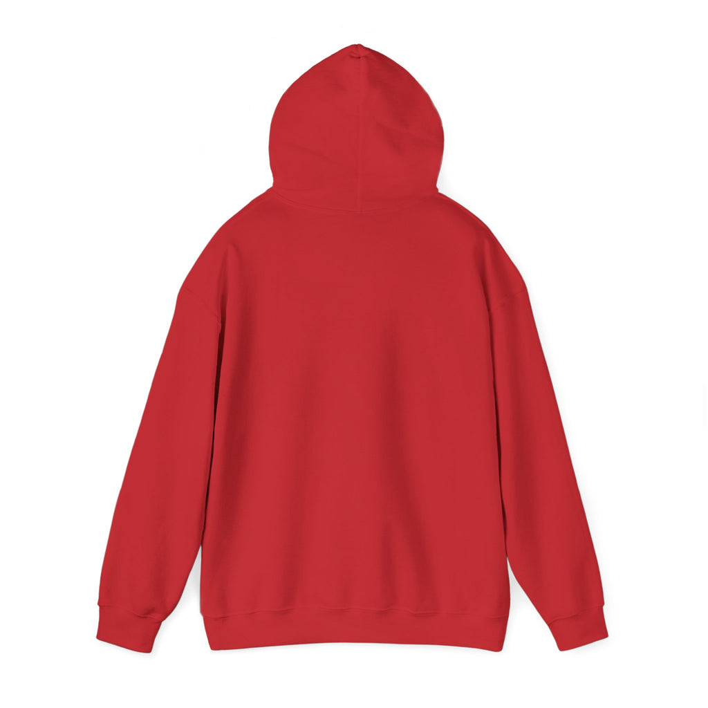 John 3:16 Cross Circle Hoodie — Faith Script Religious Pullover