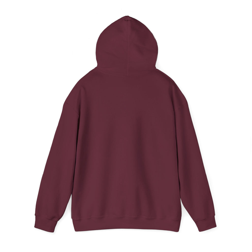 John 3:16 Cross Circle Hoodie — Faith Script Religious Pullover